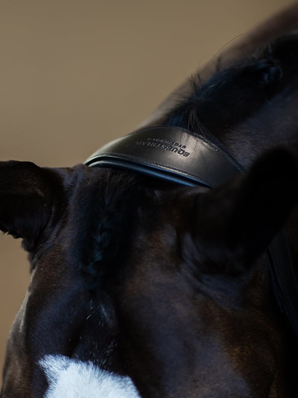 Equestrian Stockholm Glimmer Anatomic Leather Halter Black Edition - Halter - Kingdom Equestrian