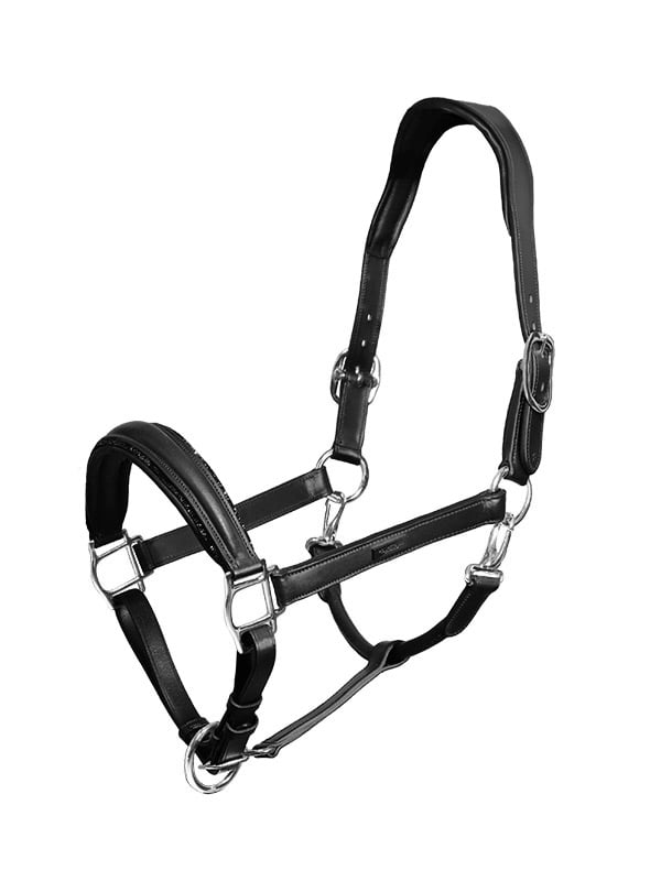 Equestrian Stockholm Glimmer Anatomic Leather Halter Black Edition - Halter - Kingdom Equestrian