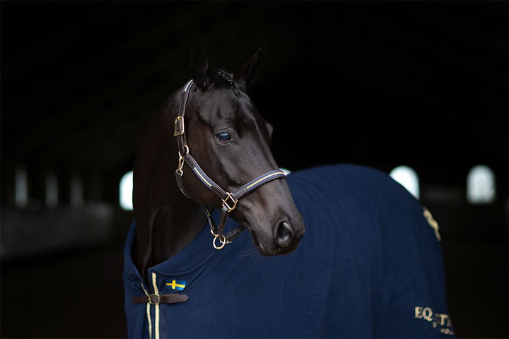 Equestrian Stockholm Leather Halter &amp; Lead Chain Sweden Nation Navy - Halter - Kingdom Equestrian