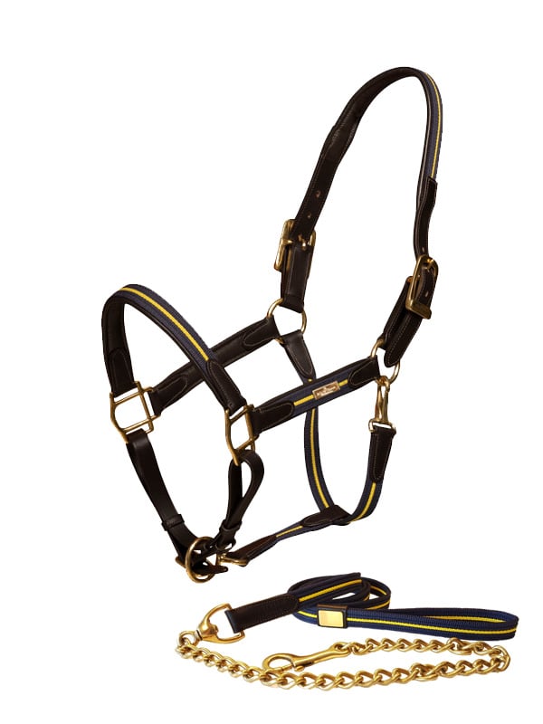 Equestrian Stockholm Leather Halter &amp; Lead Chain Sweden Nation Navy - Halter - Kingdom Equestrian