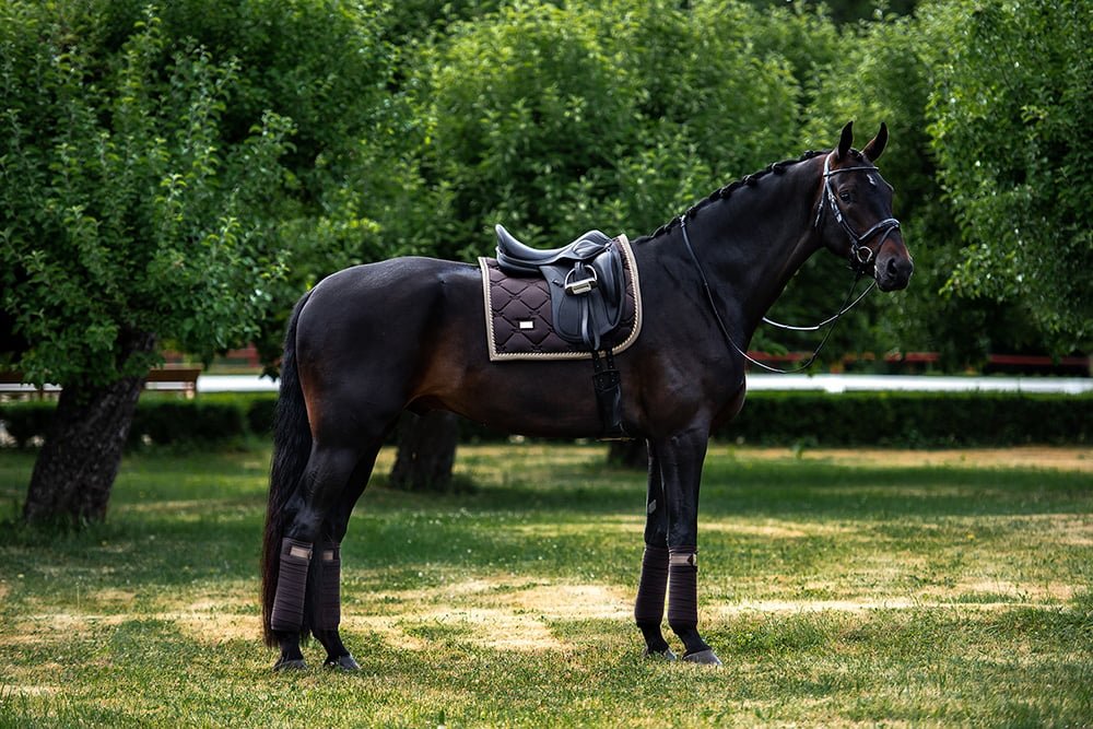 Equestrian Stockholm Polo Wraps Golden Brown - Polo Wraps - Kingdom Equestrian