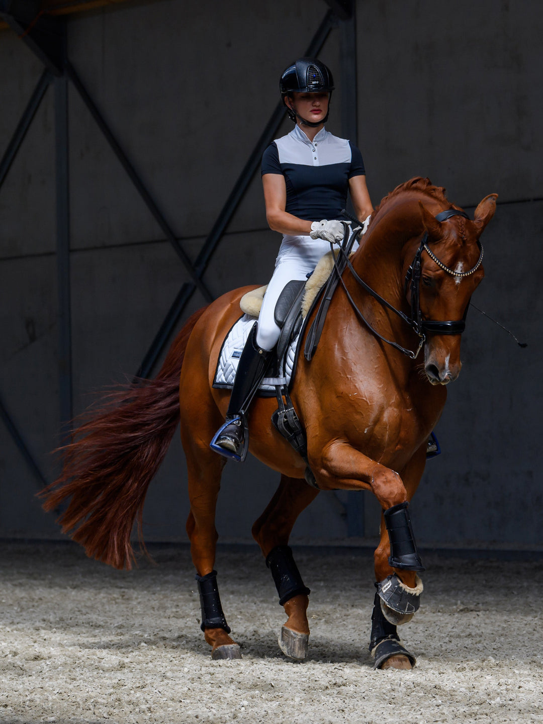 Equestrian Stockholm Revenew Competition Top Black Edition Short Sleeve - Top - Kingdom Equestrian