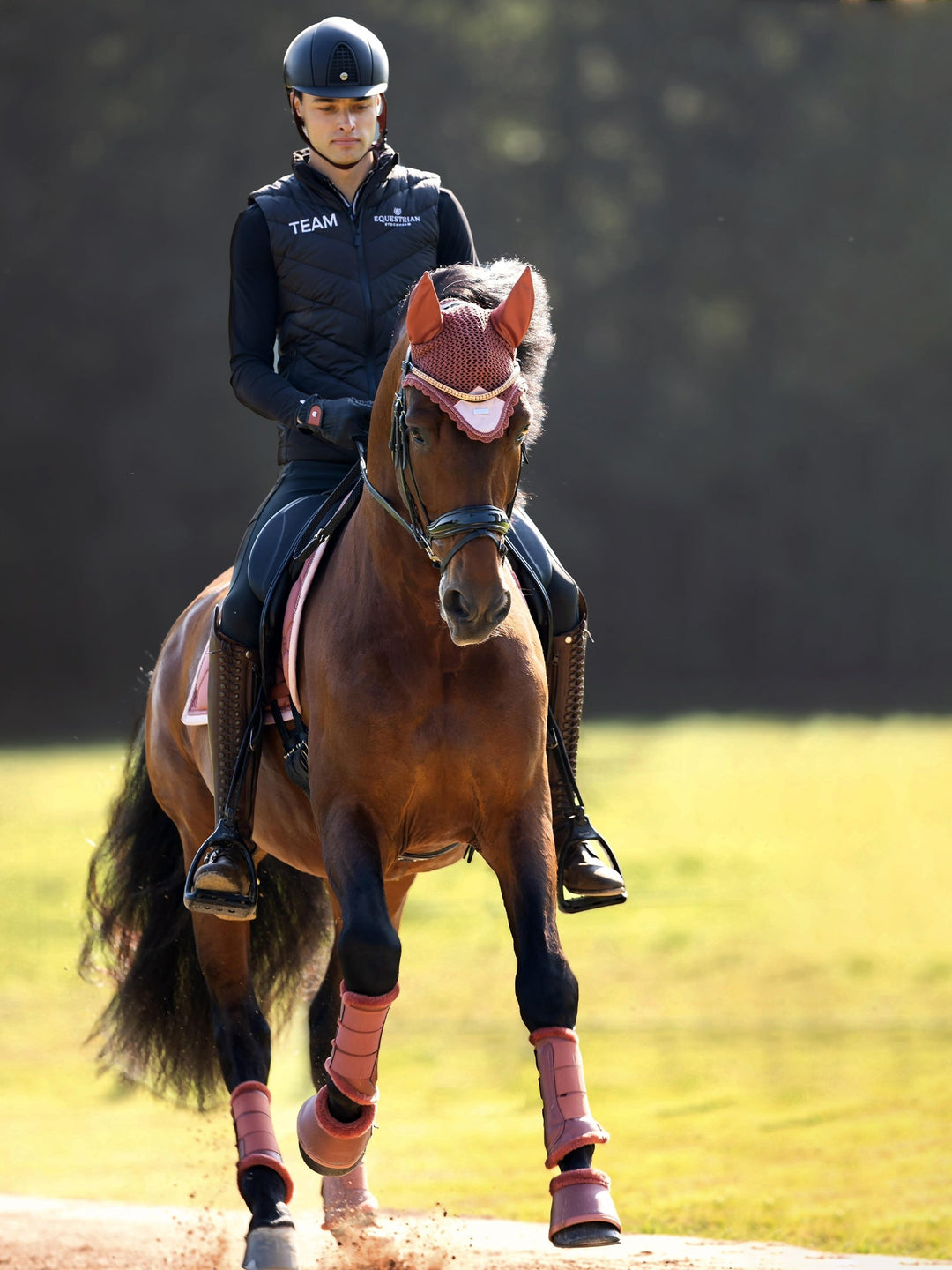 Equestrian Stockholm Riding Gloves Motion Amber Rose - Riding Gloves - Kingdom Equestrian