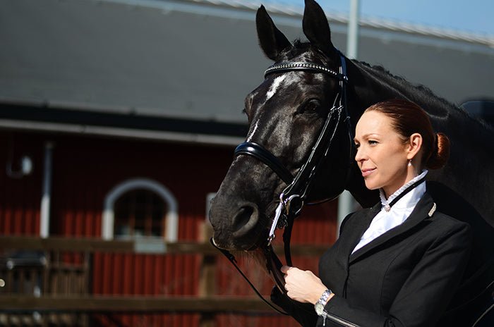 Equestrian Stockholm Riding Stock Black Edition - Stock Tie - Kingdom Equestrian